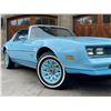 Image 13 : 1978 PONTIAC FIREBIRD ESPRIT SKYBIRD EDITION