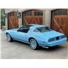 Image 16 : 1978 PONTIAC FIREBIRD ESPRIT SKYBIRD EDITION