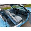 Image 28 : 1978 PONTIAC FIREBIRD ESPRIT SKYBIRD EDITION