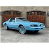 Image 2 : 1978 PONTIAC FIREBIRD ESPRIT SKYBIRD EDITION