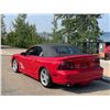 Image 10 : 1998 FORD MUSTANG SALEEN SZ81