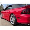 Image 14 : 1998 FORD MUSTANG SALEEN SZ81