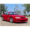 Image 1 : 1998 FORD MUSTANG SALEEN SZ81