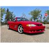 Image 3 : 1998 FORD MUSTANG SALEEN SZ81