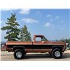 Image 10 : 1980 CHEVROLET K10