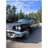 Image 16 : 1959 FORD THUNDERBIRD