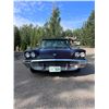 Image 3 : 1959 FORD THUNDERBIRD