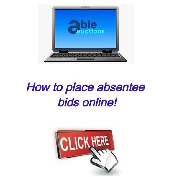 How to bid online live