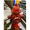 Image 2 : FIRE HYDRANT 35"