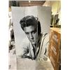 Image 1 : ELVIS PRINT ROOM DIVIDER