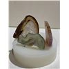 Image 3 : AGATE ART DISPLAY RETAIL $589