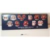 Image 1 : Detroit Red Wings Plaque 5” x 15”