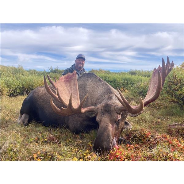 1 x 1, 7 Day Alaska Moose Hunt