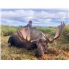 Image 1 : 1 x 1, 7 Day Alaska Moose Hunt