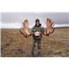 Image 2 : 1 x 1, 7 Day Alaska Moose Hunt
