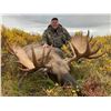 Image 3 : 1 x 1, 7 Day Alaska Moose Hunt