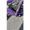 Image 2 : PURPLE SPORTEK BIKE