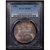 Image 2 : PCGS 1886-p Morgan Dollar $1 Graded ms65 By PCGS