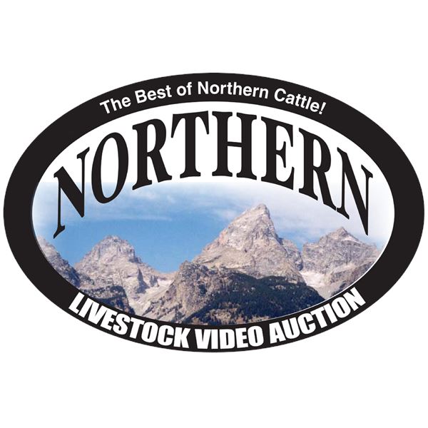 H & T Bies Cattle Co - 46 4-6 Yr Old Pairs / Base Weight: 1400 / Delivery: 05/20 to 05/23
