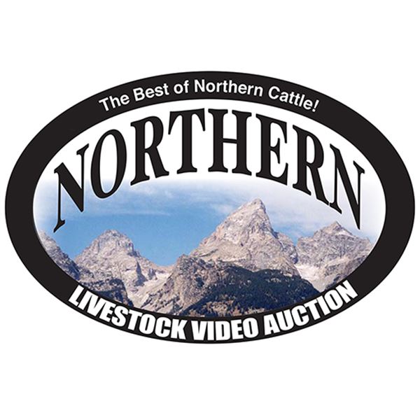 Stenberg Ranch - 75 Steer Calves @ 675