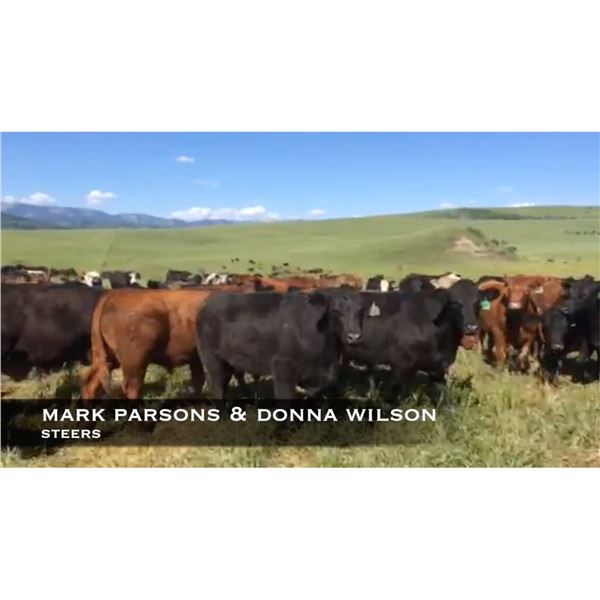 Parsons & Wilson