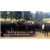 Image 1 : George & Shelly Clark Heifers