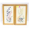 FRAMED PRINT OF DRIED & PRESSED FLOWERS ART