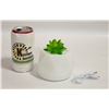 Image 1 : NEW FAUX SUCCULENT LED LIGHT ESSENTIAL OIL
