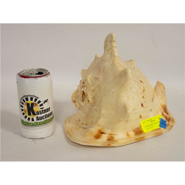 XLARGE CONCH SHELL HORN CALL-ESTATE