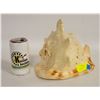 Image 1 : XLARGE CONCH SHELL HORN CALL-ESTATE