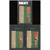 Image 2 : Lot of 3 x 1954 Topps Baseball Cards (SGC/KSA)