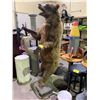 Image 1 : TAXIDERMY GRIZZLY BEAR ON STAND APPROX 7' TALL (SOME DAMAGE)