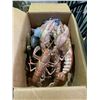 Image 2 : 2 BINS OF ASSORTED SHELL, CRUSTACEAN & STARFISH PROPS