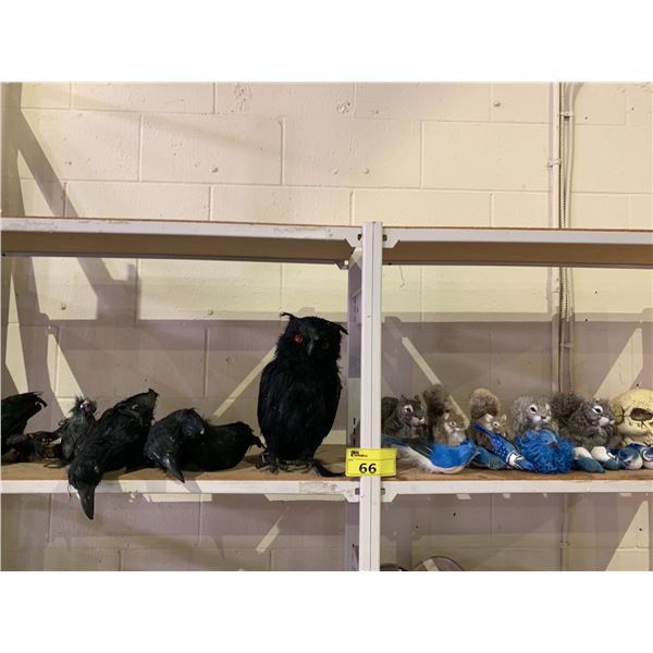 2 SHELVES OF ASSORTED PROPS INCLUDING; CROWS, OWL, SQUIRRELS, SKULLS & MORE