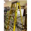 Image 2 : WERNER 6' STEP LADDER