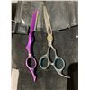 Image 2 : HAIRCUTTING SHEARS