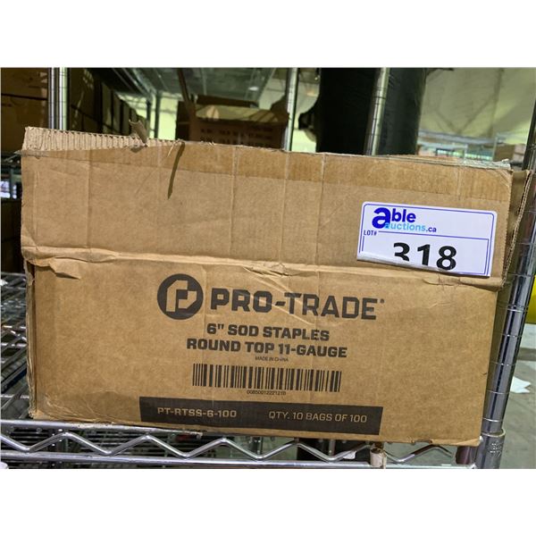 BOX OF PRO-TRADE 6" SOD STAPLES (1000 COUNT)