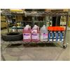 Image 1 : ASSORTED ITEMS INCLUDING; 4 DIVERSEY SUMA QUAT SANITIZER 1 GALLON BOTTLES, KRYLON INDUSTRIAL