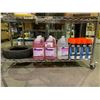 Image 1 : ASSORTED ITEMS INCLUDING; 4 DIVERSEY SUMA QUAT SANITIZER 1 GALLON BOTTLES, KRYLON INDUSTRIAL