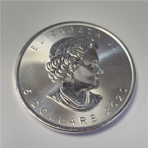 *TAX EXEMPT* SILVER CANADIAN MAPLE LEAF 1 OZ 2020  COIN