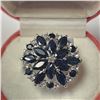 Image 1 : SILVER SAPPHIRE(2.85CT)  RING