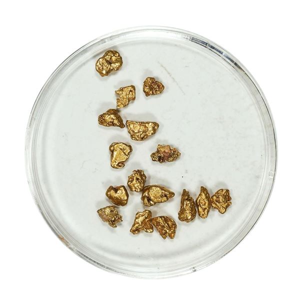 Gold Nuggets 2.64 Grams Total Weight