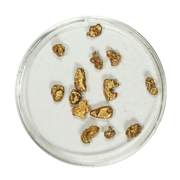 Gold Nuggets 2.67 Grams Total Weight