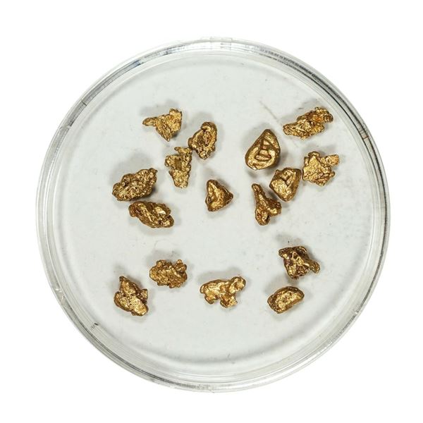 Gold Nuggets 2.85 Grams Total Weight