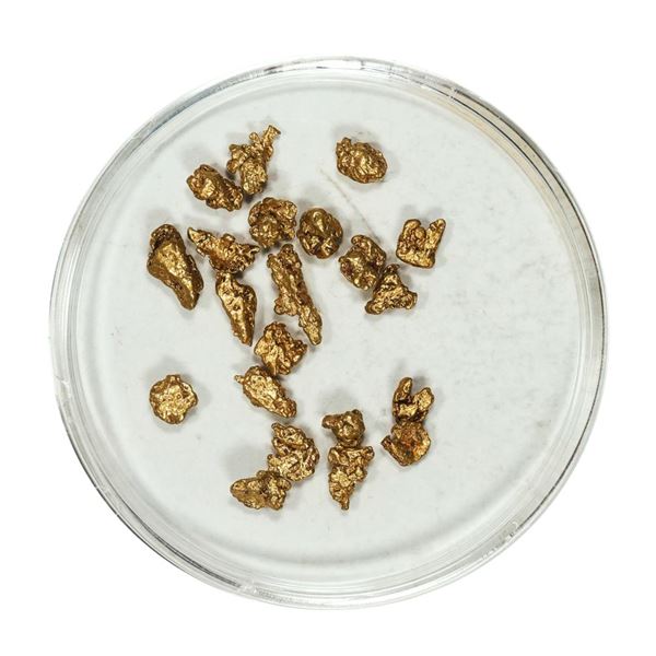 Gold Nuggets 3.03 Grams Total Weight