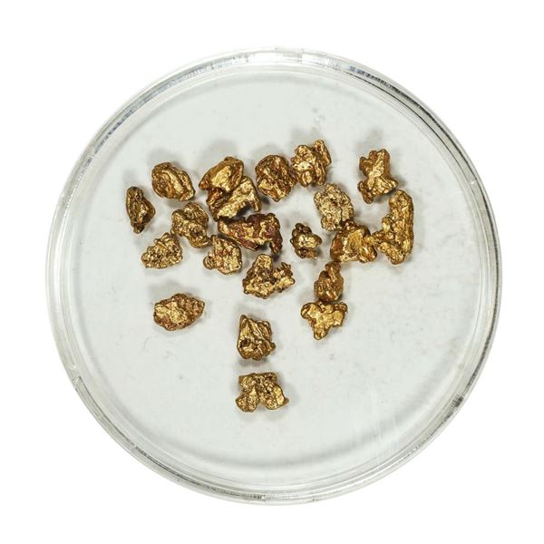 Gold Nuggets 3.36 Grams Total Weight