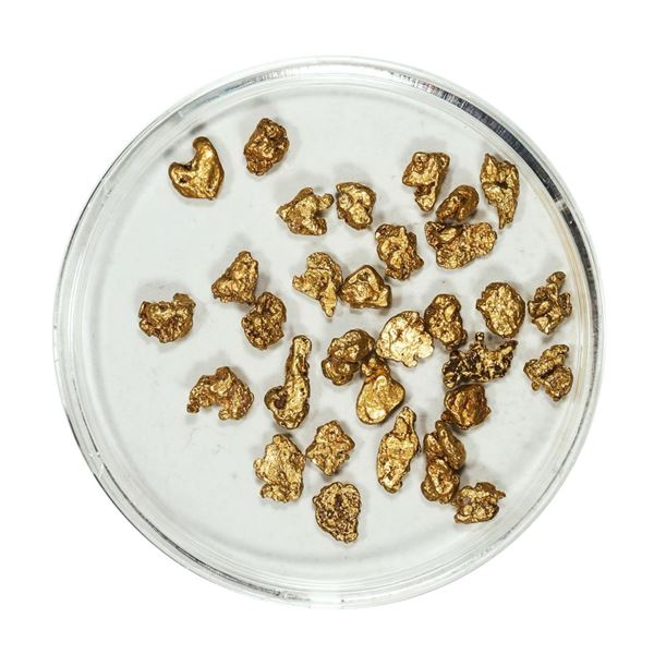 Gold Nuggets 4.71 Grams Total Weight