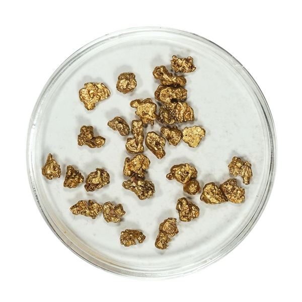 Gold Nuggets 4.27 Grams Total Weight