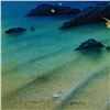 Image 3 : Wyland "Island Paradise" Limited Edition Cibachrome On Board