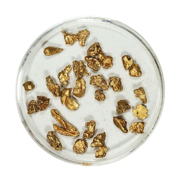 Gold Nuggets 4.91 Grams Total Weight